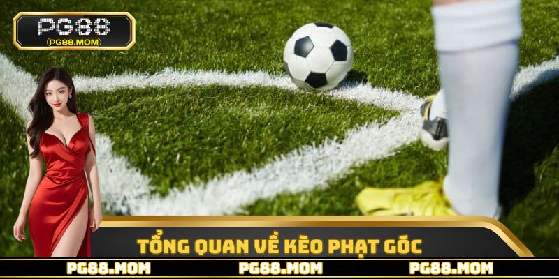 Kèo Phạt Góc - Loại Hình Cược Được Yêu Thích Nhất Tại PG88 - skywin96