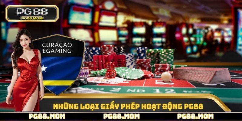 Giấy Phép Hoạt Động PG88 - Minh Bạch & Đầy Đủ Pháp Lý - skywin96